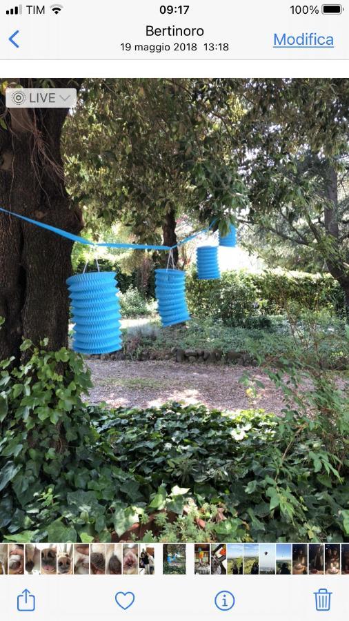 Villa 225 Bracciano  Dış mekan fotoğraf