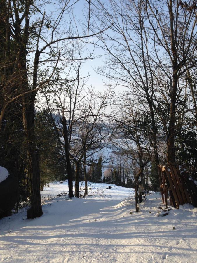 Villa 225 Bracciano  Dış mekan fotoğraf